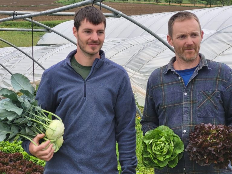 Coeur du Sundgau 1024x768 1 768x576