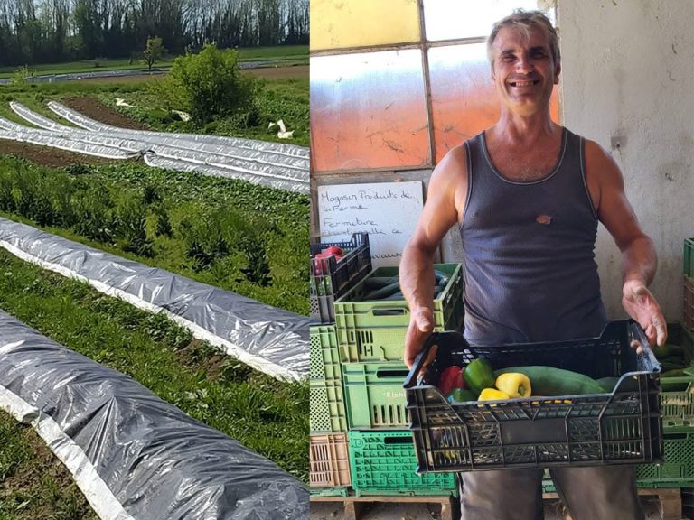 ferme roellinger001 768x576