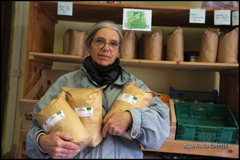 hirondelles01 768x515