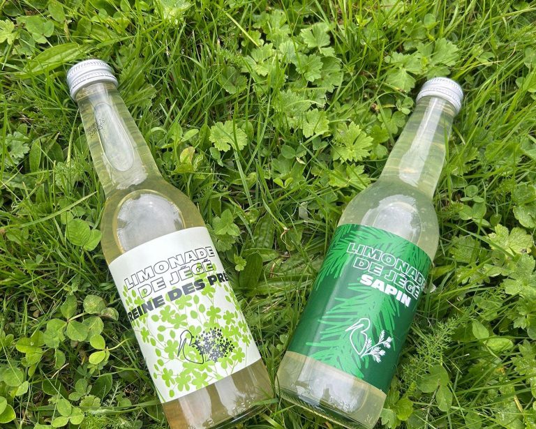 Boisson de JEGE redim 768x615